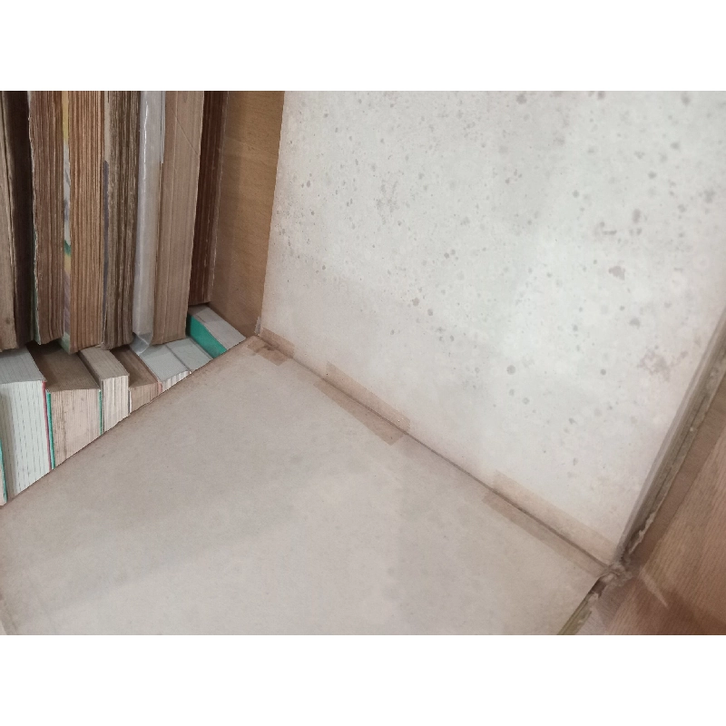 Comment l'homme est devenu un géant - M. Iline et E. Ségal 1025857