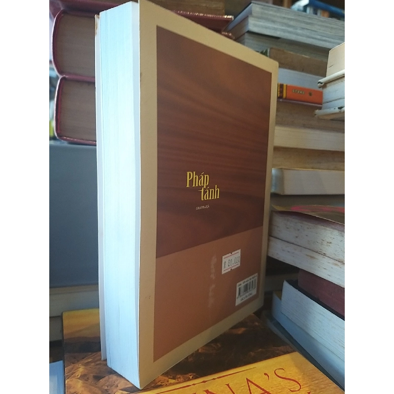 Pháp Tánh - Thích Tâm Minh & Thích Tâm Chơn 994778