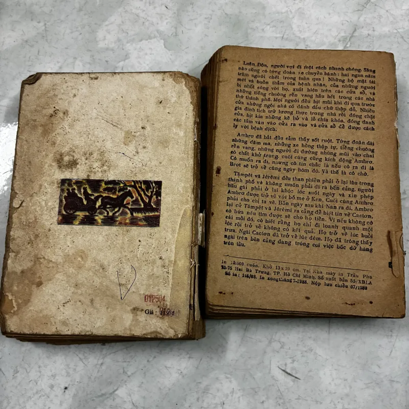 Ambrơ Kiếp hồng nhan (Bộ 2 tập) 1031569