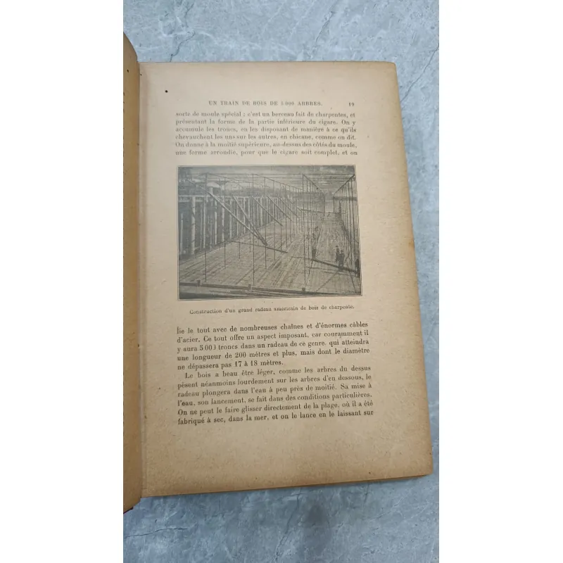 TRONG VƯƠNG QUỐC MÁY MÓC - DANIEL BELLET 791836