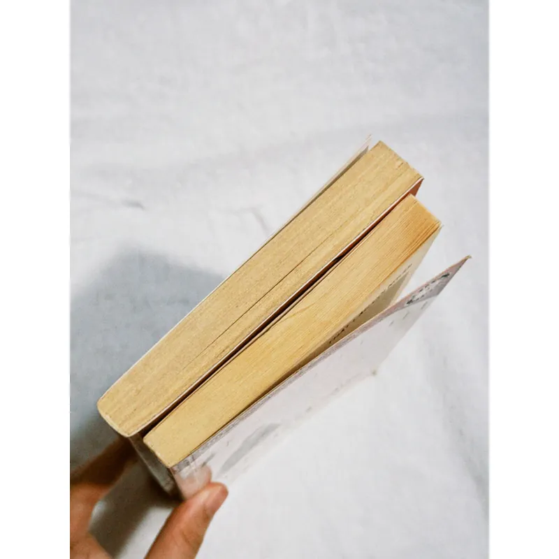 Combo Dazai Osamu 701862