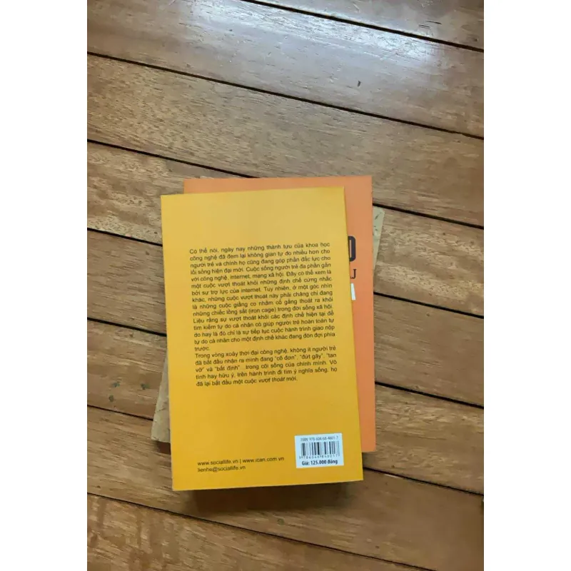 Đời sống xã hội viêt nam đương đại 753033