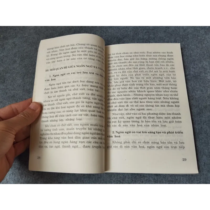 VĂN HOÁ VÀ NGÔN NGỮ GIAO TIẾP CỦA NGƯỜI VIỆT 719892