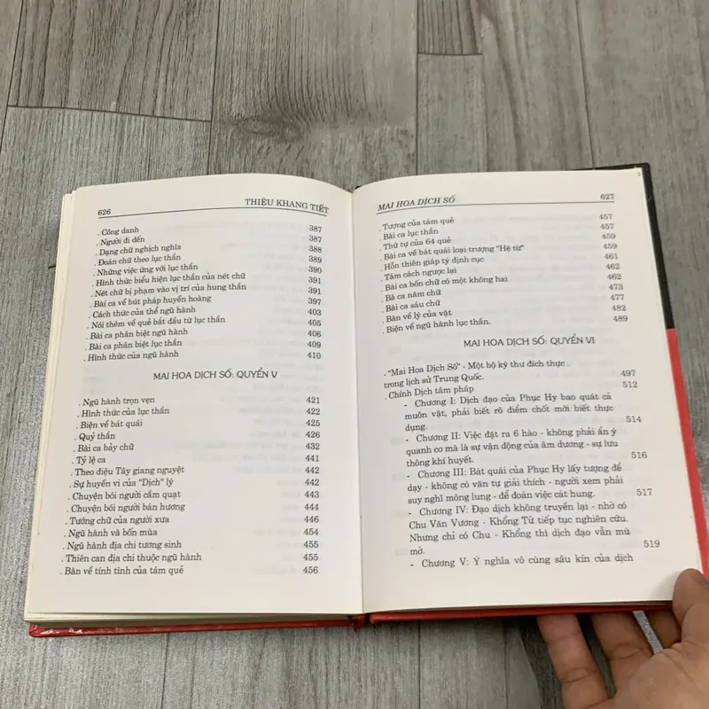 Mai hoa dịch số. 2a3 689771