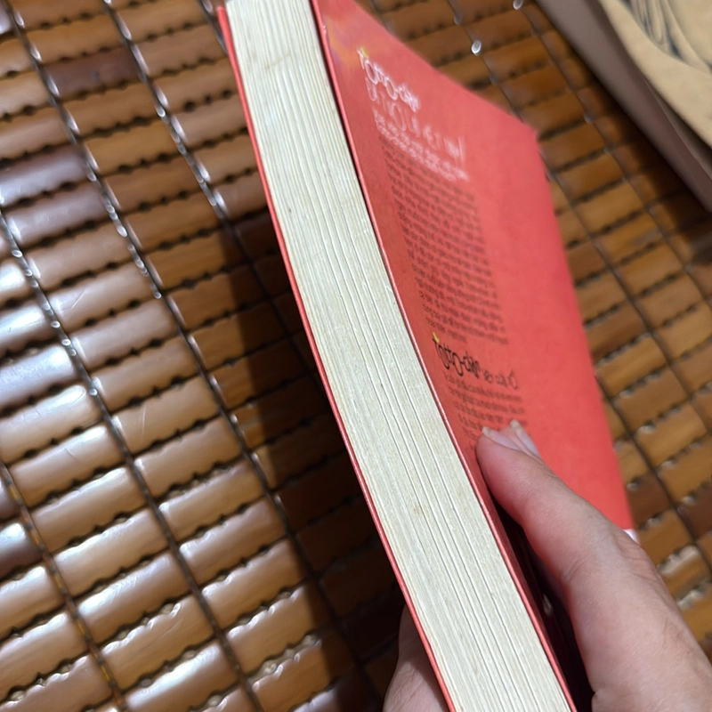 Totto Chan bên cửa sổ - Kuroyanagi Tetsuko 498783