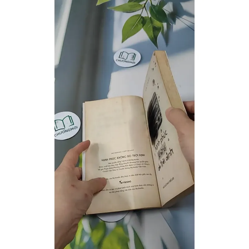 Hạnh Phúc Không Do Trời Định - Cá Chép 727225