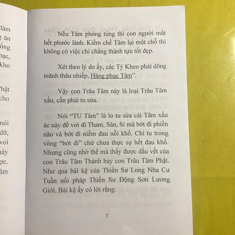 Con Trâu và Cái Tâm (Bí Lục Theo Trâu) - HT Đắc Huyền - Thích Như Phước Tú 630515