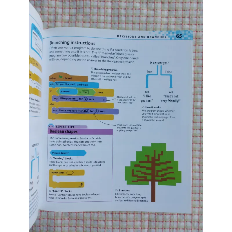 COMPUTER CODING FOR KIDS – CAROL VORDERMAN - Sách DK, mới 99% 782513