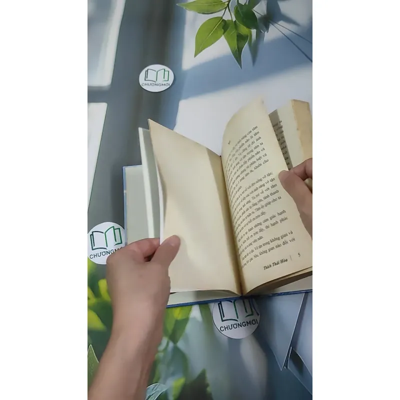 Nguồn Sáng Vô Tận - Thích Thái Hòa 990452