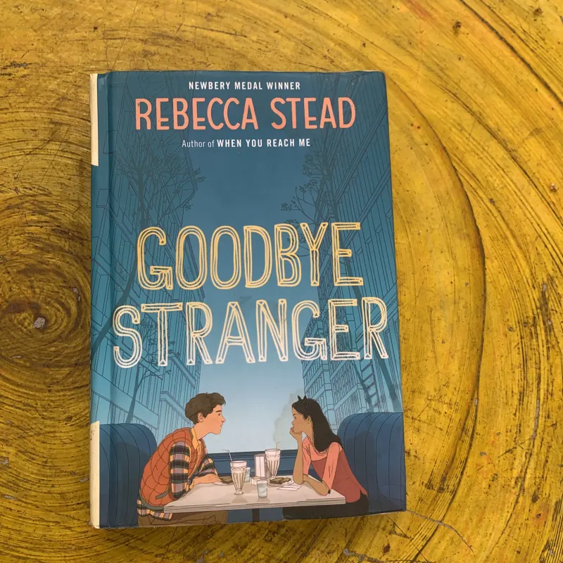 GOODBYE STRANGER - REBECCA STEAD 762299