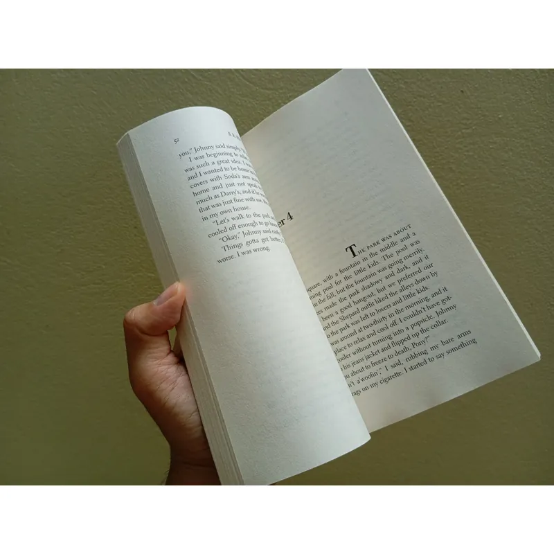 The outsiders, sách ngoại văn tiếng Anh, english book tiểu thuyết  592851