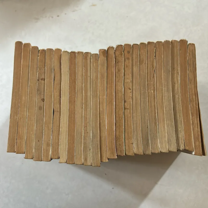 RAI 23/33 tập - Joji Manabi 975109