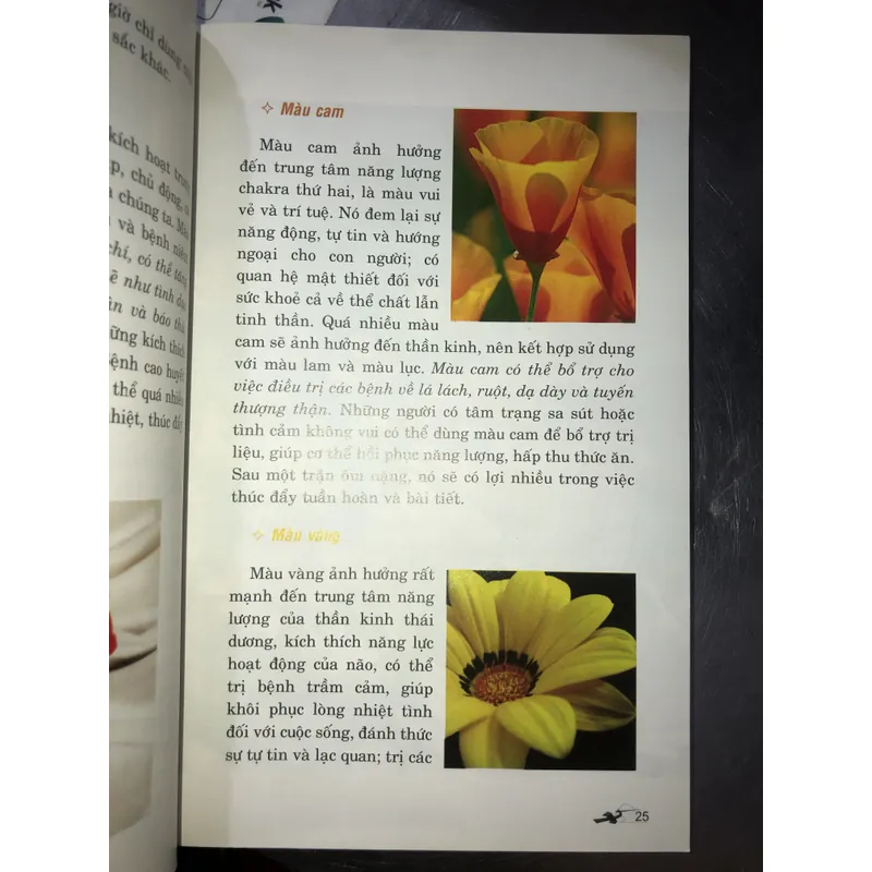 Chữa bệnh bẳng màu sắc  714179