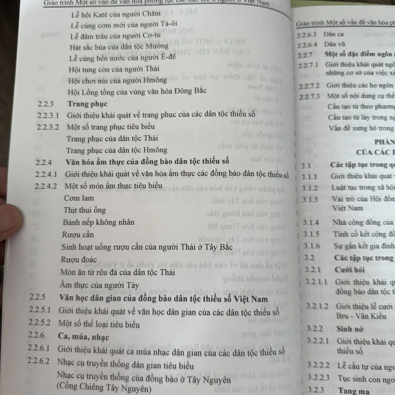Một số vấn đề văn hóa phong tục các dân tộc ít người ở Việt Nam 593814