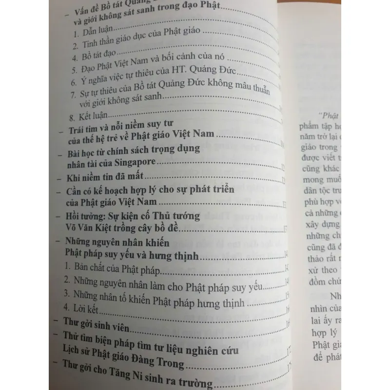 Sách Tôn Giáo Việt Nam Suy Tư Và Nhận Định - Thích Hạnh Bình 687880