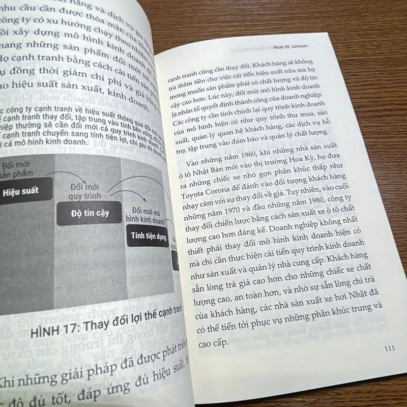 Tái tạo mô hình kinh doanh hiệu quả Mark W. Johnson 393371