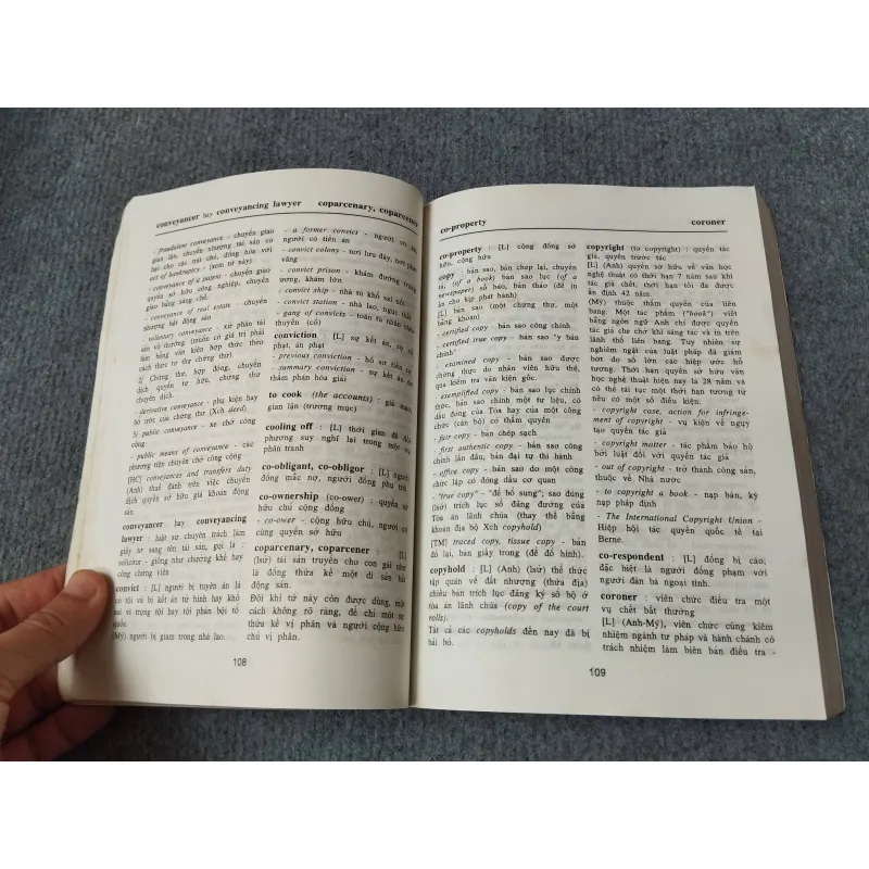 TỪ ĐIỂN PHÁP LUẬT ANH - VIỆT 729263