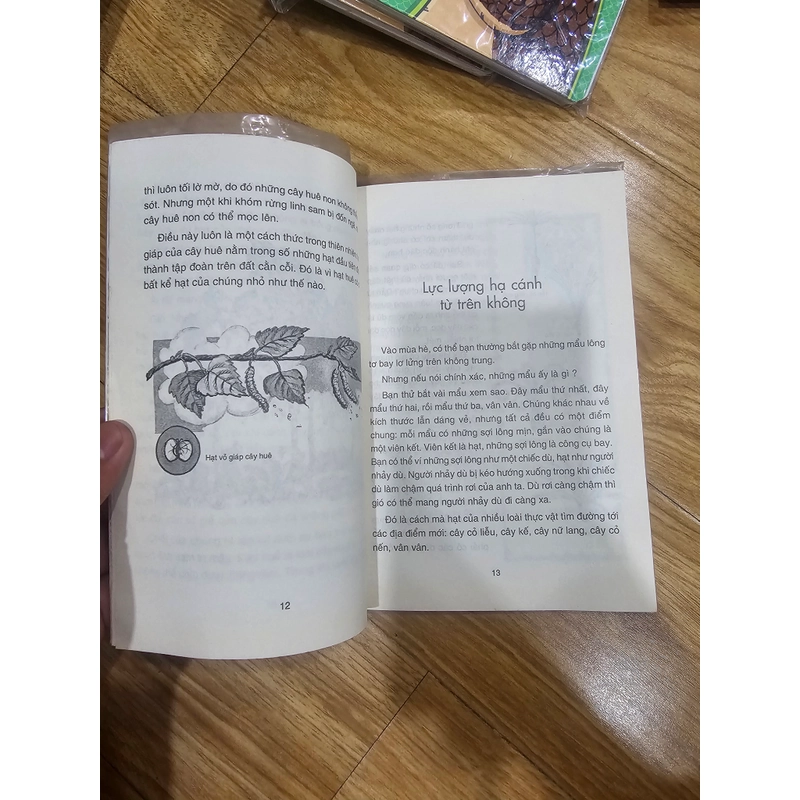 Chuyện kể về quả và hạt 451758