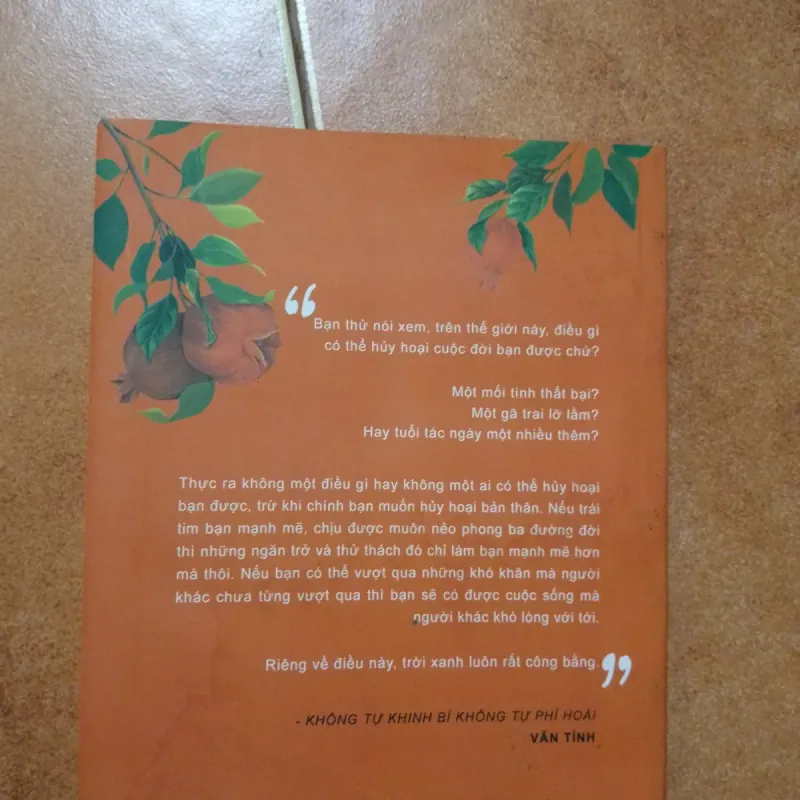 Không tự khinh bỉ không tự phí hoài  746746