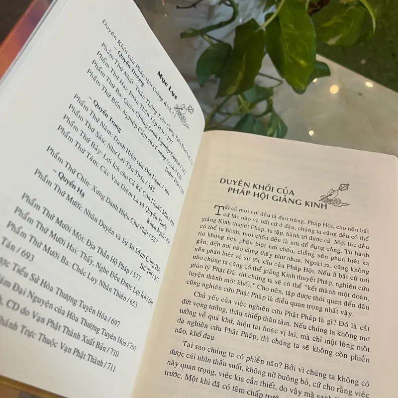 KINH ĐỊA TẠNG BỒ TÁT BỐN NGUYỆN (BÌA CỨNG) 1028765