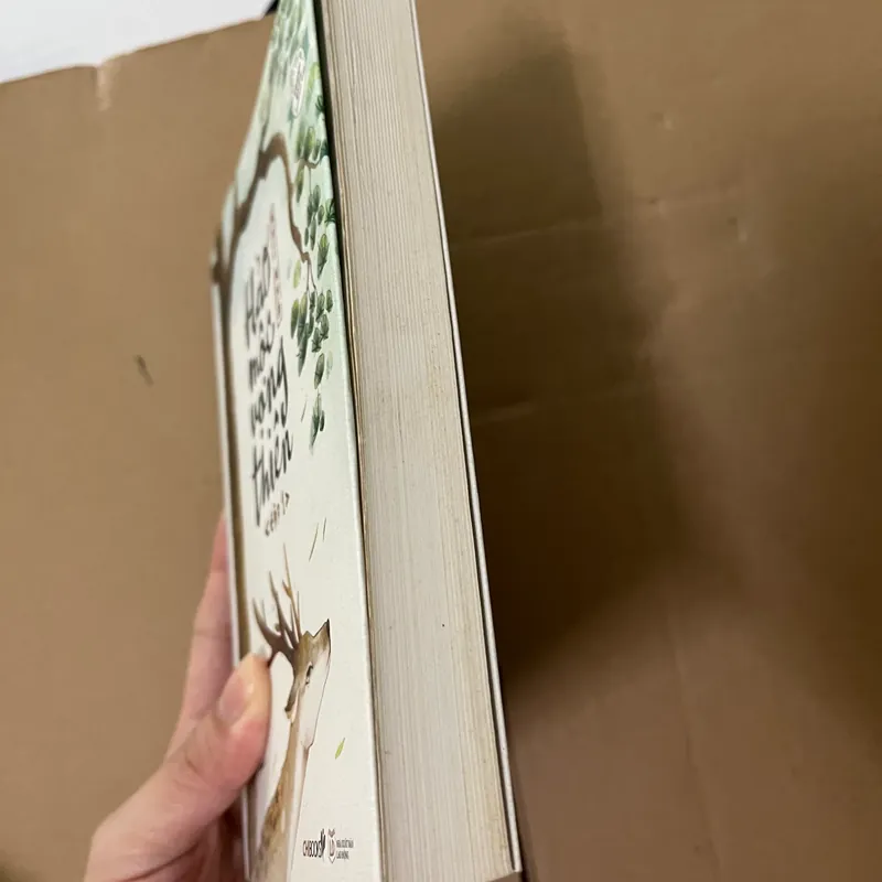 Hảo mộc vọng thiên 1 563098