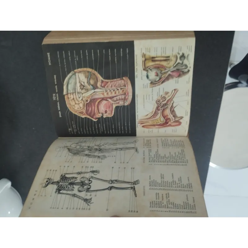 Petit Larousse 1963 993680