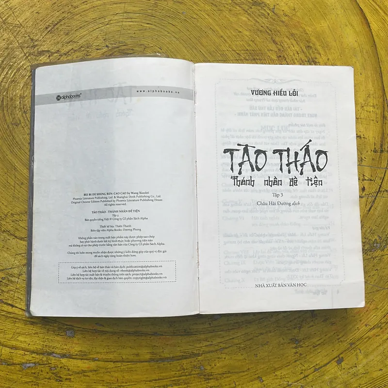 TÀO THÁO THÁNH NHÂN ĐÊ TIỆN TẬP 3- VƯƠNG HIỂU LỖI 697836