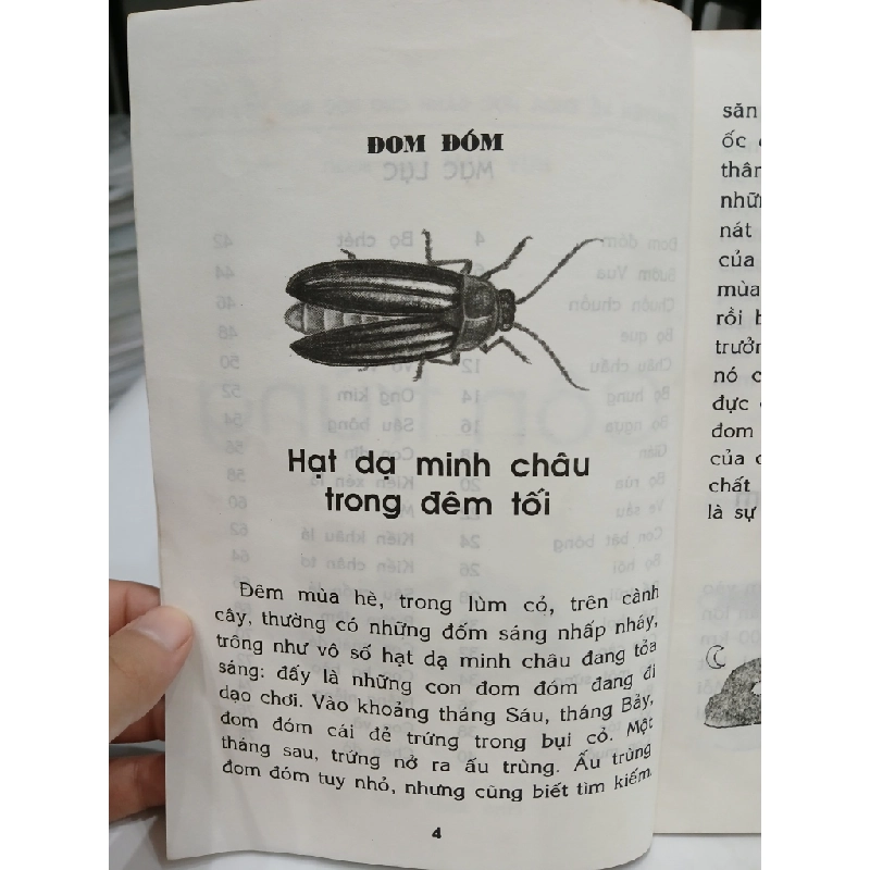 Côn Trùng – Chuyện Kể Khoa Học Cho Học Sinh Tiểu Học 549654