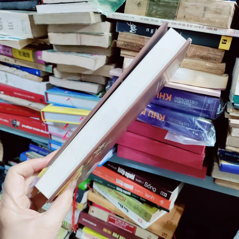 Hoạt động phận sự của giáo hội phật giáo VN tỉnh hoà bình 673723