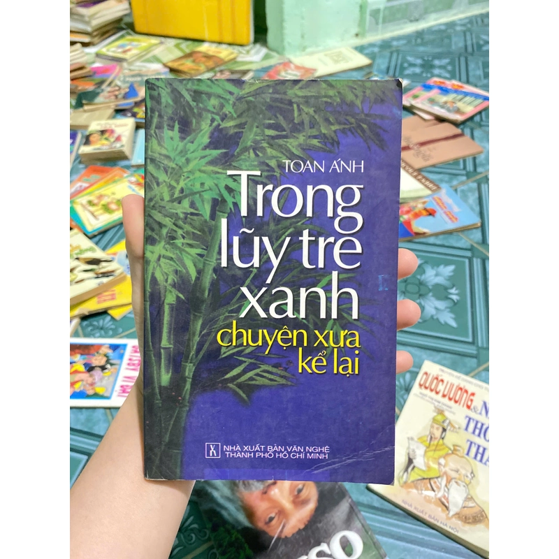 Trong lũy tre xanh - Toan Ánh 329534