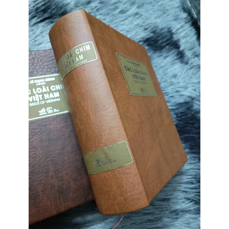 Các loài chim Việt Nam (Lê Mạnh Hùng) 736184