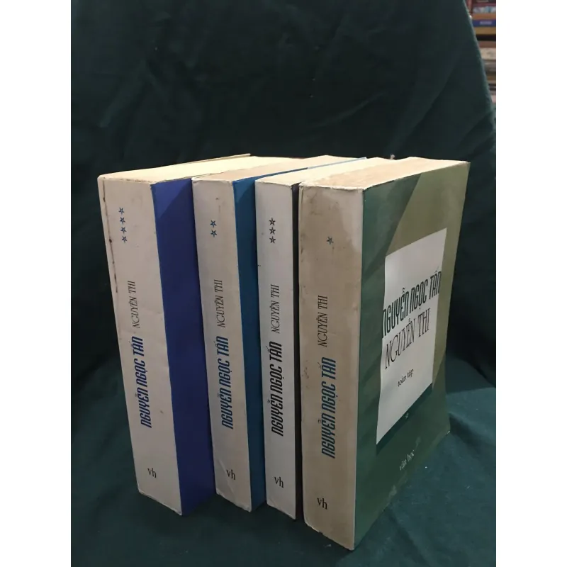 Toàn tập Nguyễn Thi 958224