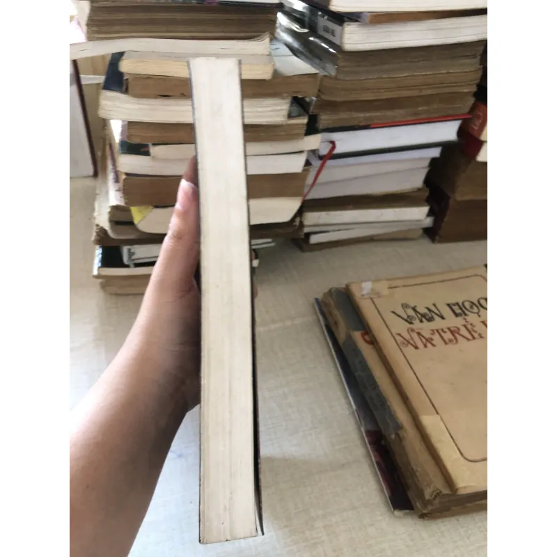 Thiên đường bên trái thâm quyến bên phải 973897