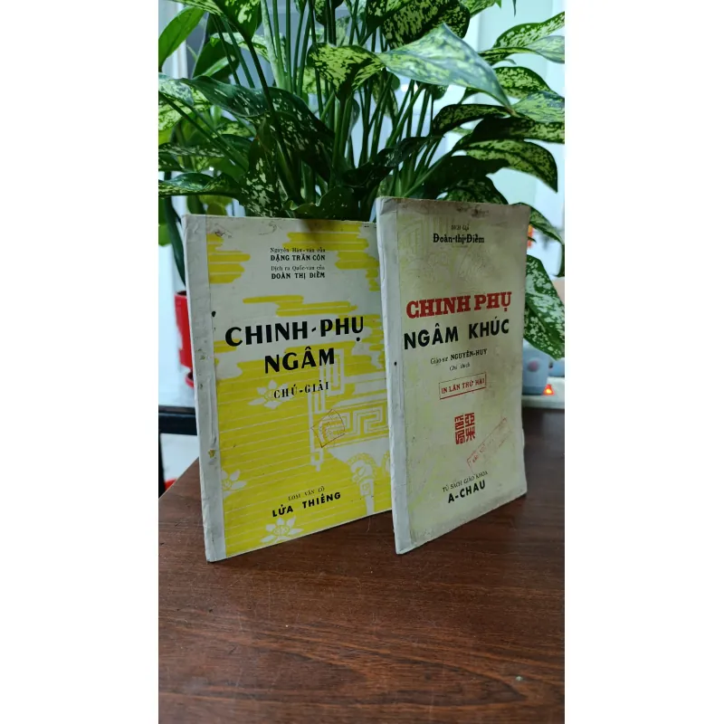 CHINH PHỤ NGÂM KHÚC - DỊCH GIẢ: ĐOÀN THỊ ĐIỂM 715409