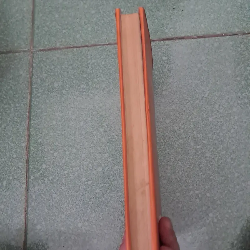 Nothing to lose,everything to gain 997183