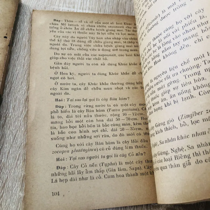 HỎI ĐÁP VỀ THỰC VẬT – trọn bộ 5 tập 🌿 956957