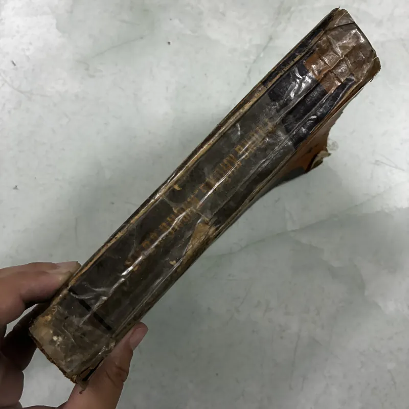 Phòng không không quân (1978s) 1024221