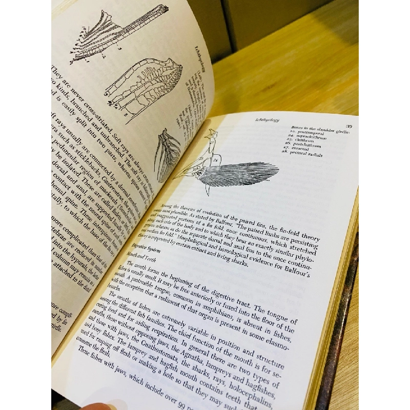 Handbook of Tropical Aquarium Fishes 533817