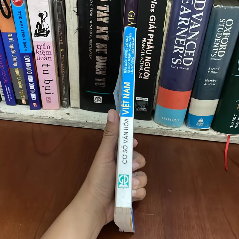 II Tựa sách: Cơ Sở Văn Hoá Việt Nam - Nhiều Tác Giả - 2009 562831