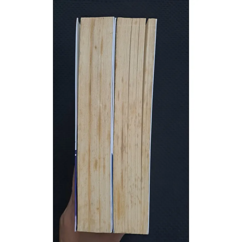 Người láng giềng ánh trăng - Đinh Mặc 595539