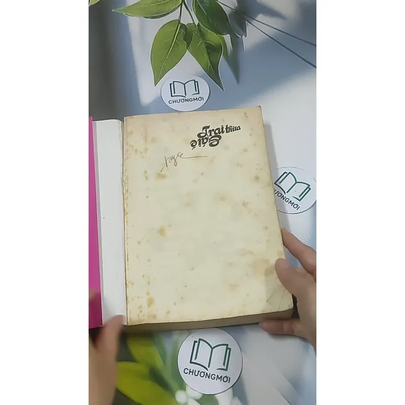 Trai thừa gái ế - Tưởng Cẩn 688606