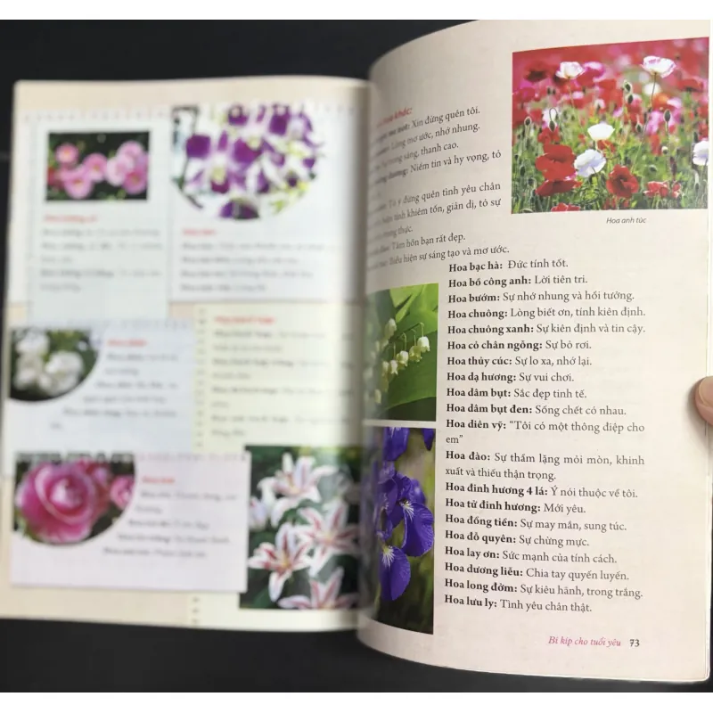 Combo 2 cuốn sách teen nhẹ nhàng 925702