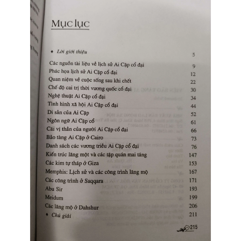 Viện bảo tàng Ai Cập  - Xb 2008 - 215 trang - LỊCH SỬ - CHÍNH TRỊ - TRIẾT HỌC - ANTQ2011-68 920939