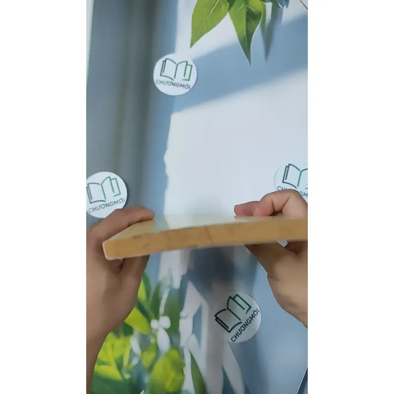 Cơm Nhà Cơm Người - Hồ Huy Sơn 798411