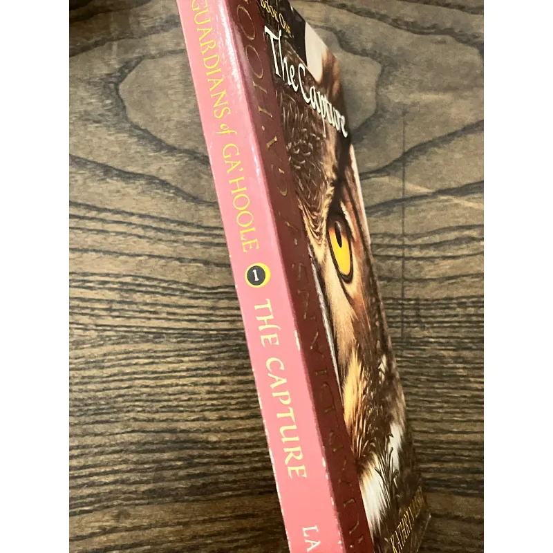 Guardians of Ga’Hoole: The Capture 972095