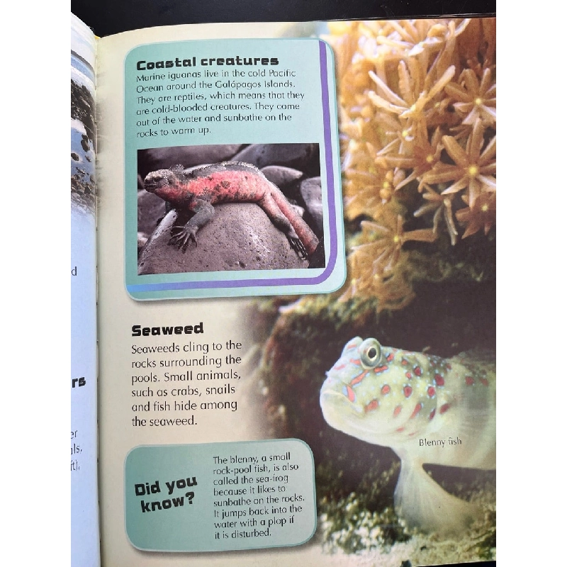 Ocean: discover the secrets of the natural world 782772