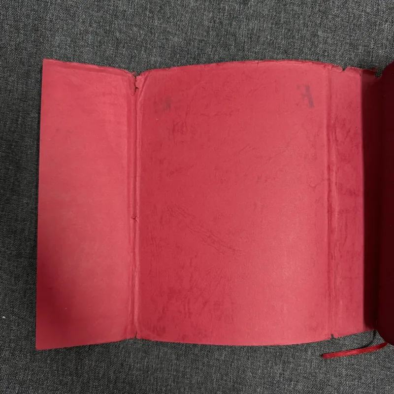 Gã khờ - Fyodor Dostoevsky 785504