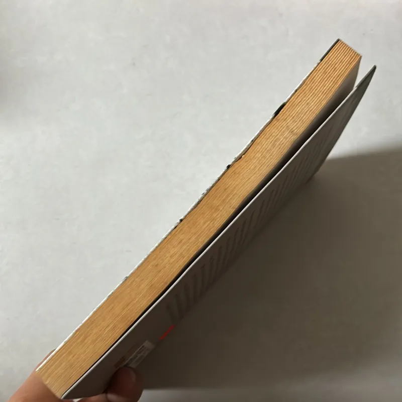 Bản thiết kế vĩ đại - Stephen Hawking 756685