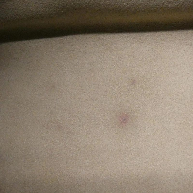 Túi Louis Vuitton Monogram Bicolor OnTheGo PM M45779 614553