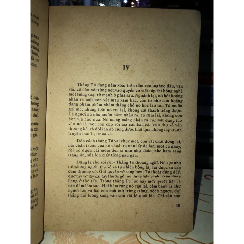 Con hoang - Hoàng Minh Tường 798902